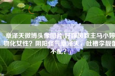 章泽天微博头像图片(好嫁风教主马小婷物化女性？阴阳怪气章泽天，吐槽李靓蕾不配？)