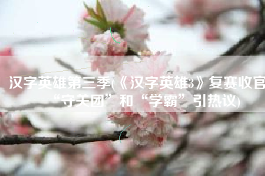 汉字英雄第三季(《汉字英雄3》复赛收官 “守关团”和“学霸”引热议)
