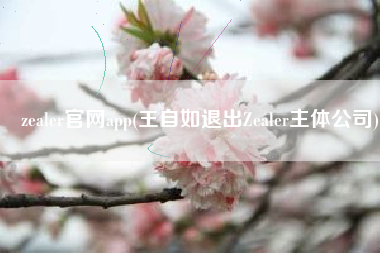 zealer官网app(王自如退出Zealer主体公司)