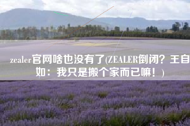 zealer官网啥也没有了(ZEALER倒闭？王自如：我只是搬个家而已嘛！)