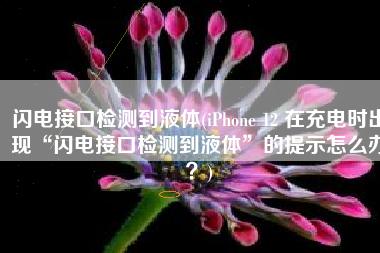 闪电接口检测到液体(iPhone 12 在充电时出现“闪电接口检测到液体”的提示怎么办？)