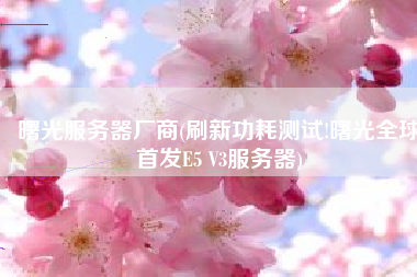 曙光服务器厂商(刷新功耗测试!曙光全球首发E5 V3服务器)