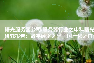 曙光服务器公司(服务器行业之中科曙光研究报告：数字经济之基，国产化之首)