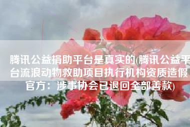 腾讯公益捐助平台是真实的(腾讯公益平台流浪动物救助项目执行机构资质造假 官方：涉事协会已退回全部善款)