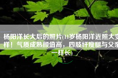 杨阳洋长大后的照片(11岁杨阳洋近照大变样！气质成熟颜值高，四肢纤瘦腿与父亲一样长)