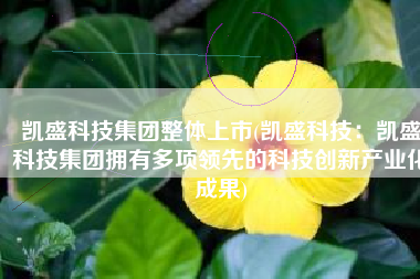 凯盛科技集团整体上市(凯盛科技：凯盛科技集团拥有多项领先的科技创新产业化成果)