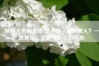 纳税人名称是啥(是不是一般纳税人？一查便知！手把手教您如何查)