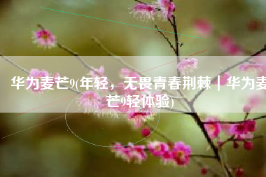 华为麦芒9(年轻，无畏青春荆棘｜华为麦芒9轻体验)