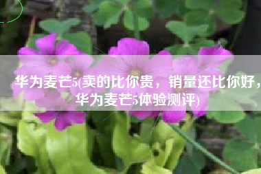 华为麦芒5(卖的比你贵，销量还比你好，华为麦芒5体验测评)