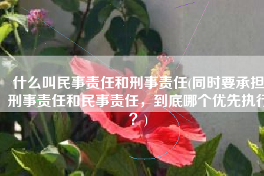 什么叫民事责任和刑事责任(同时要承担刑事责任和民事责任，到底哪个优先执行？)