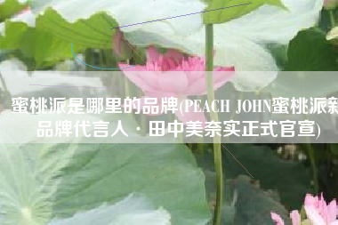 蜜桃派是哪里的品牌(PEACH JOHN蜜桃派新品牌代言人·田中美奈实正式官宣)