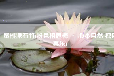 蜜桃派石竹(粉色相思梅 · 心本自然 独自喜乐)