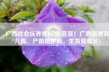 广西社会抚养费标准(官宣！广西新增育儿假、产前陪护假，生育假延长)