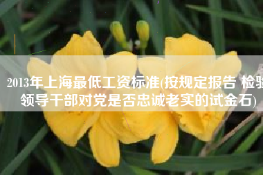 2013年上海最低工资标准(按规定报告 检验领导干部对党是否忠诚老实的试金石)