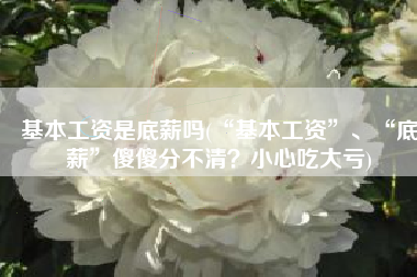 基本工资是底薪吗(“基本工资”、“底薪”傻傻分不清？小心吃大亏)