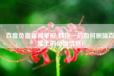 百度负面新闻举报(教你一招如何删除百度上的负面信息)