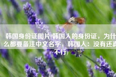 韩国身份证图片(韩国人的身份证，为什么都要备注中文名字，韩国人：没有还真不行)