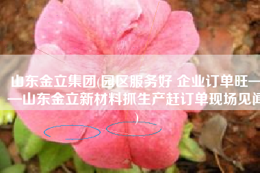 山东金立集团(园区服务好 企业订单旺——山东金立新材料抓生产赶订单现场见闻)