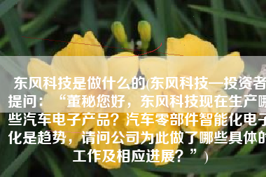 东风科技是做什么的(东风科技—投资者提问：“董秘您好，东风科技现在生产哪些汽车电子产品？汽车零部件智能化电子化是趋势，请问公司为此做了哪些具体的工作及相应进展？”)