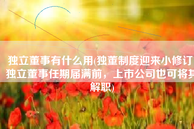 独立董事有什么用(独董制度迎来小修订：独立董事任期届满前，上市公司也可将其解职)