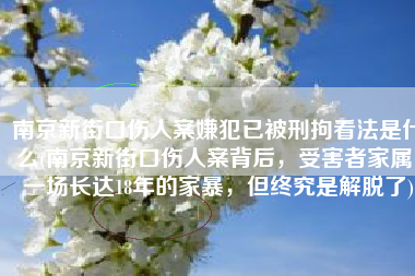南京新街口伤人案嫌犯已被刑拘看法是什么(南京新街口伤人案背后，受害者家属：一场长达18年的家暴，但终究是解脱了)
