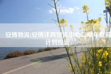 安博物流(安博沣西物流中心二期年底前计划投运)