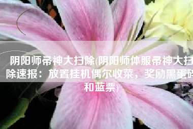 阴阳师帚神大扫除(阴阳师体服帚神大扫除速报：放置挂机偶尔收菜，奖励黑蛋碎和蓝票)