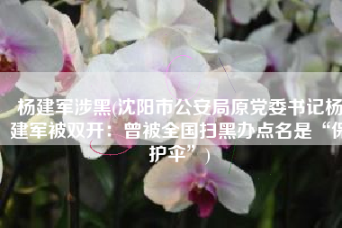 杨建军涉黑(沈阳市公安局原党委书记杨建军被双开：曾被全国扫黑办点名是“保护伞”)