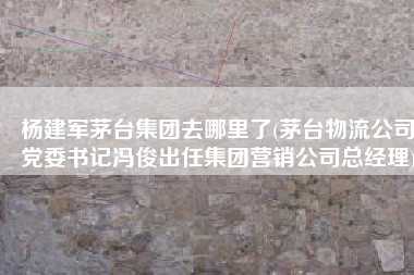 杨建军茅台集团去哪里了(茅台物流公司党委书记冯俊出任集团营销公司总经理)