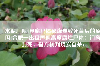 水泥厂现4具腐尸揭秘烧炭致死背后的原因(合肥一出租屋现高度腐烂尸体：门窗封死，警方初判烧炭自杀)