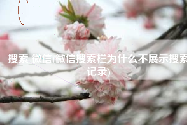 搜索 微信(微信搜索栏为什么不展示搜索记录)