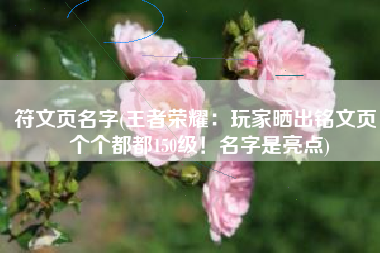 符文页名字(王者荣耀：玩家晒出铭文页，个个都都150级！名字是亮点)