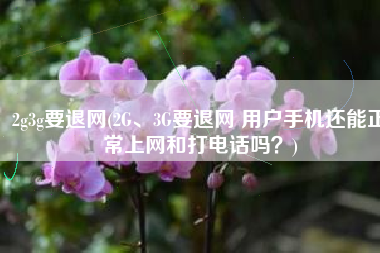 2g3g要退网(2G、3G要退网 用户手机还能正常上网和打电话吗？)
