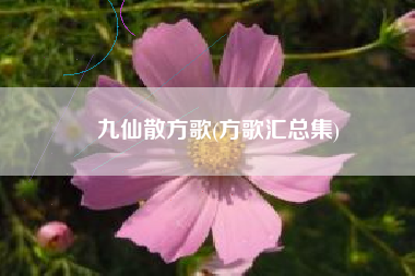 九仙散方歌(方歌汇总集)
