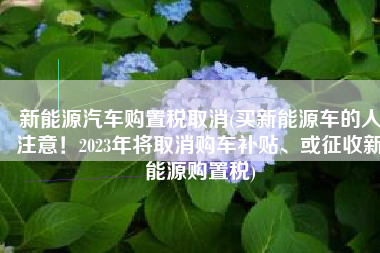 新能源汽车购置税取消(买新能源车的人注意！2023年将取消购车补贴、或征收新能源购置税)