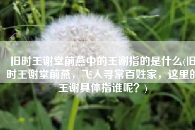 旧时王谢堂前燕中的王谢指的是什么(旧时王谢堂前燕，飞入寻常百姓家，这里的王谢具体指谁呢？)