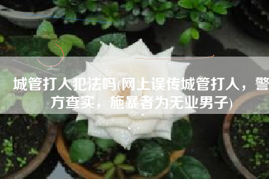 城管打人犯法吗(网上误传城管打人，警方查实，施暴者为无业男子)