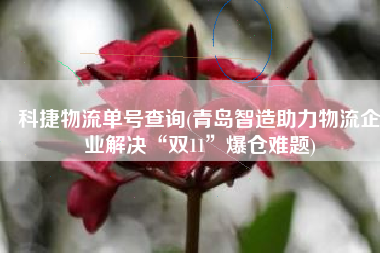 科捷物流单号查询(青岛智造助力物流企业解决“双11”爆仓难题)