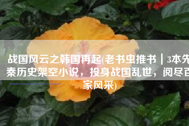 战国风云之韩国再起(老书虫推书｜3本先秦历史架空小说，投身战国乱世，阅尽百家风采)