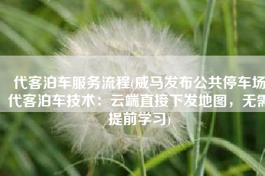 代客泊车服务流程(威马发布公共停车场代客泊车技术：云端直接下发地图，无需提前学习)