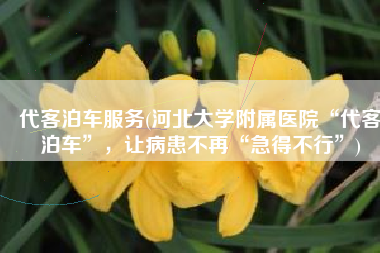 代客泊车服务(河北大学附属医院“代客泊车”，让病患不再“急得不行”)