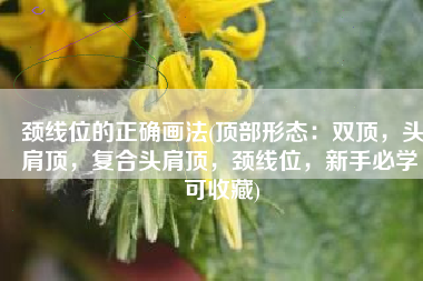 颈线位的正确画法(顶部形态：双顶，头肩顶，复合头肩顶，颈线位，新手必学 可收藏)