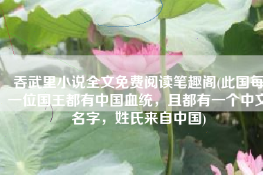 吞武里小说全文免费阅读笔趣阁(此国每一位国王都有中国血统，且都有一个中文名字，姓氏来自中国)