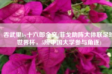 吞武里by十六郎全文(菲戈助阵大体联足球世界杯，5所中国大学参与角逐)