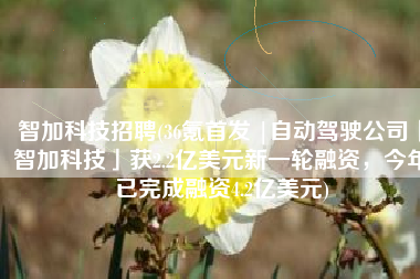 智加科技招聘(36氪首发 |自动驾驶公司「智加科技」获2.2亿美元新一轮融资，今年已完成融资4.2亿美元)