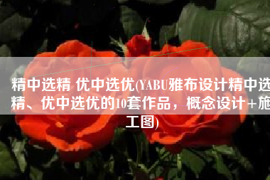 精中选精 优中选优(YABU雅布设计精中选精、优中选优的10套作品，概念设计+施工图)