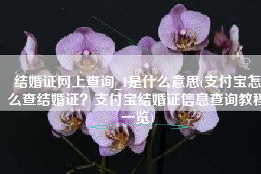 结婚证网上查询_1是什么意思(支付宝怎么查结婚证？支付宝结婚证信息查询教程一览)