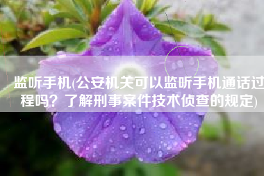 监听手机(公安机关可以监听手机通话过程吗？了解刑事案件技术侦查的规定)