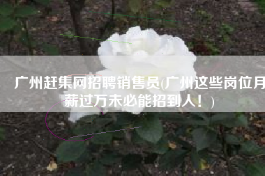 广州赶集网招聘销售员(广州这些岗位月薪过万未必能招到人！)