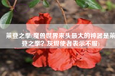 莱登之拳(魔兽世界来头最大的神器是莱登之拳？灰烬使者表示不服)